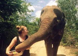 Kendra Dubrick feeds an elephant while volunteering for Wildlife Friends Foundation Thailand (WFFT) last May. Courtesy of Kendra Dubrick 
