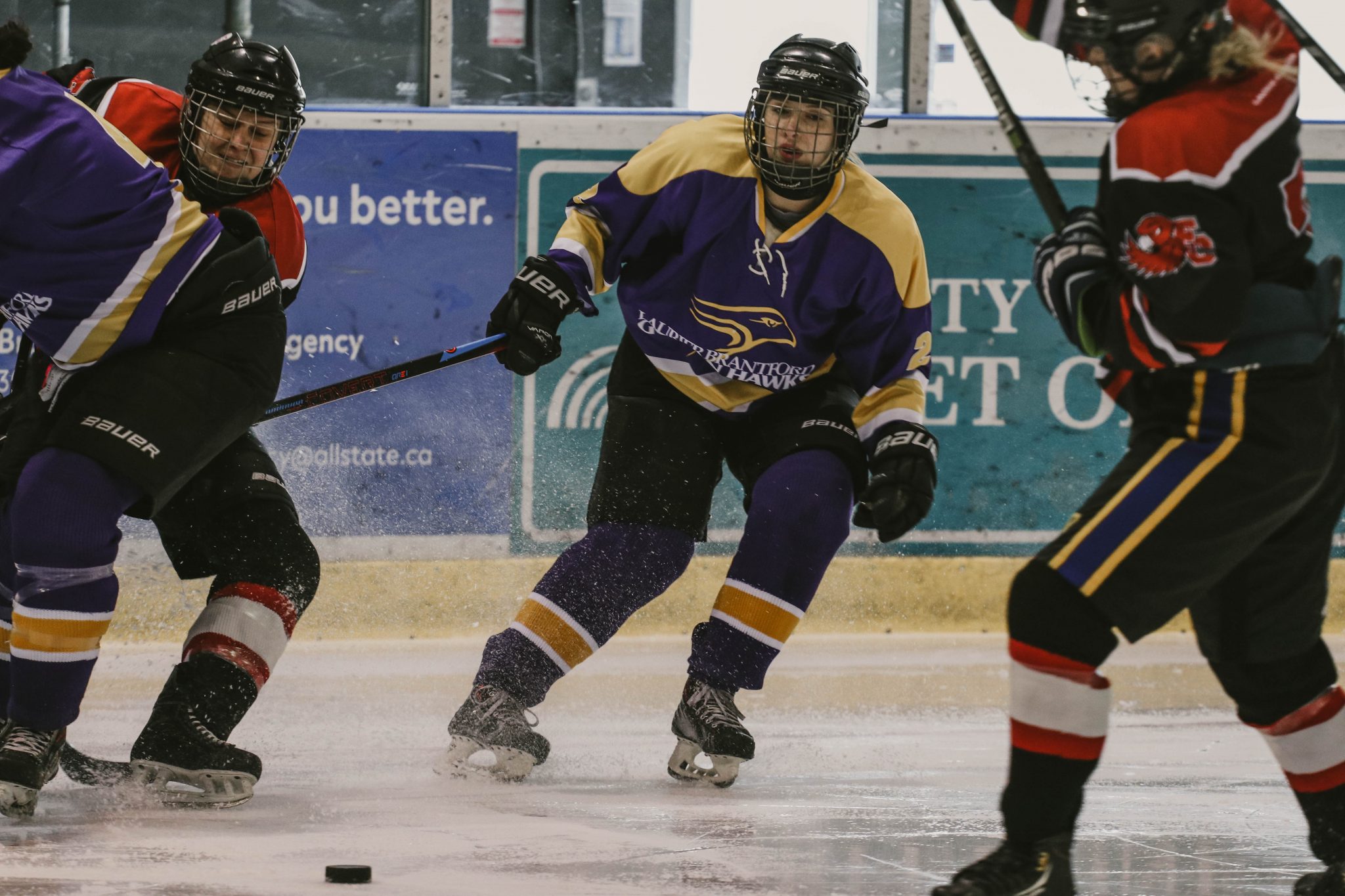 Laurier Brantford women's hockey player has her eyes on the puck between her opponents.