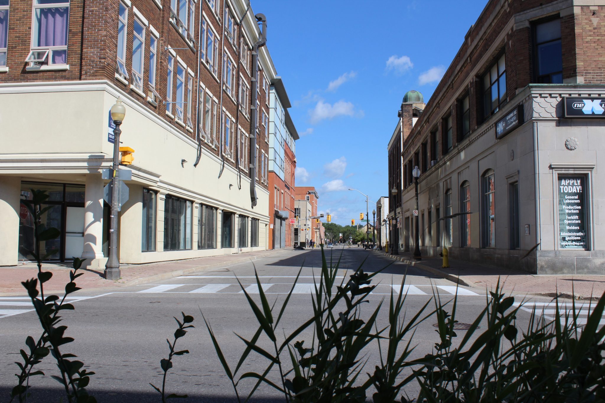 An empty crosswalk in downtown Brantford